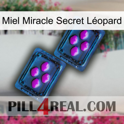 Miel Miracle Secret Léopard 03